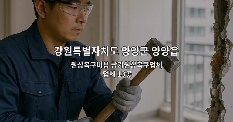 강원특별자치도 양양군 양양읍 철거업체 원상복구비용 상가원상복구업체 업체 13곳
