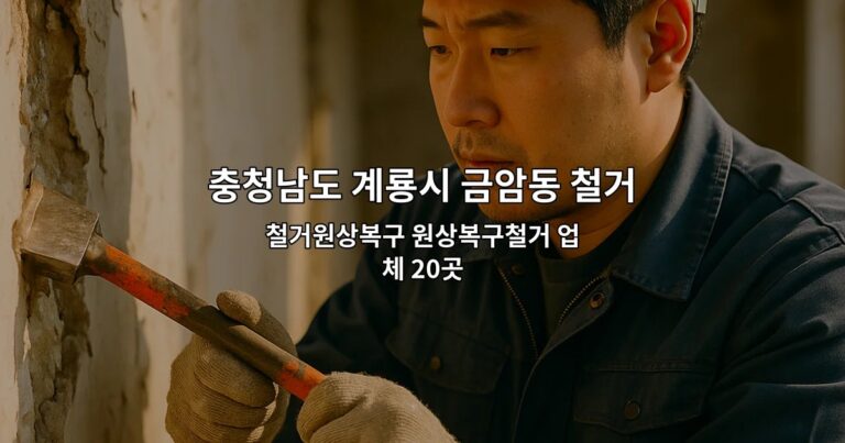 충청남도 계룡시 금암동 철거 철거원상복구 원상복구철거 업체 20곳
