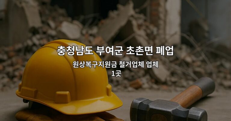 충청남도 부여군 초촌면 폐업원상복구 원상복구지원금 철거업체 업체 1곳