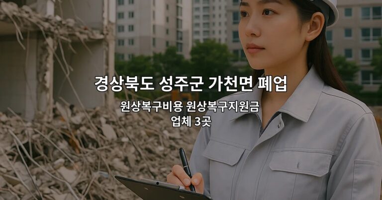 경상북도 성주군 가천면 폐업철거 원상복구비용 원상복구지원금 업체 3곳