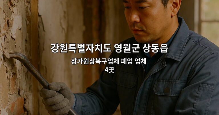 강원특별자치도 영월군 상동읍 원상복구철거 상가원상복구업체 폐업 업체 4곳