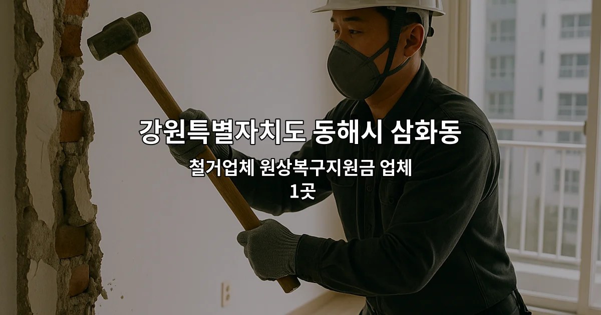 강원특별자치도 동해시 삼화동 상가원상복구업체 철거업체 원상복구지원금 업체 1곳