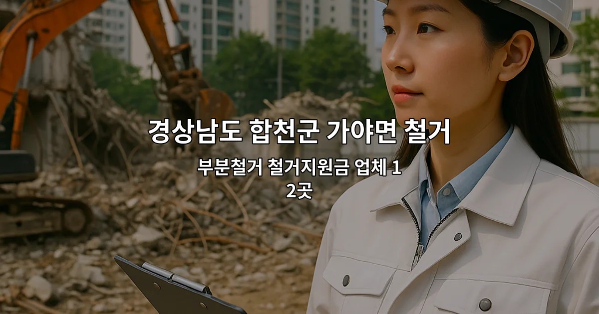 경상남도 합천군 가야면 철거업체 부분철거 철거지원금 업체 12곳
