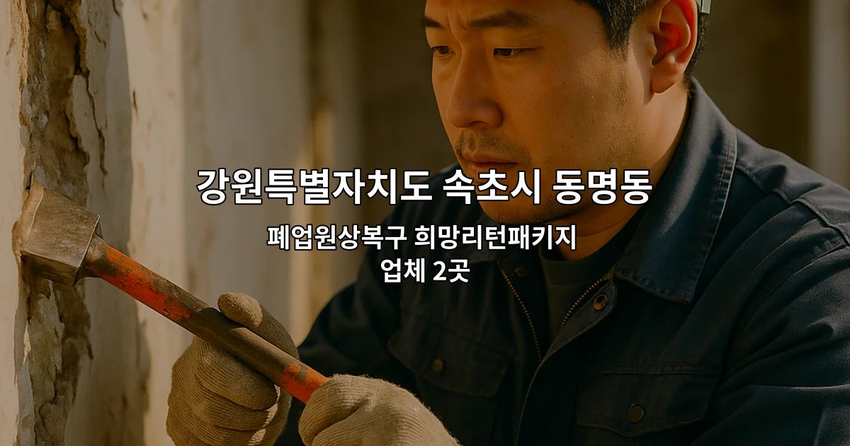 강원특별자치도 속초시 동명동 폐업 폐업원상복구 희망리턴패키지 업체 2곳