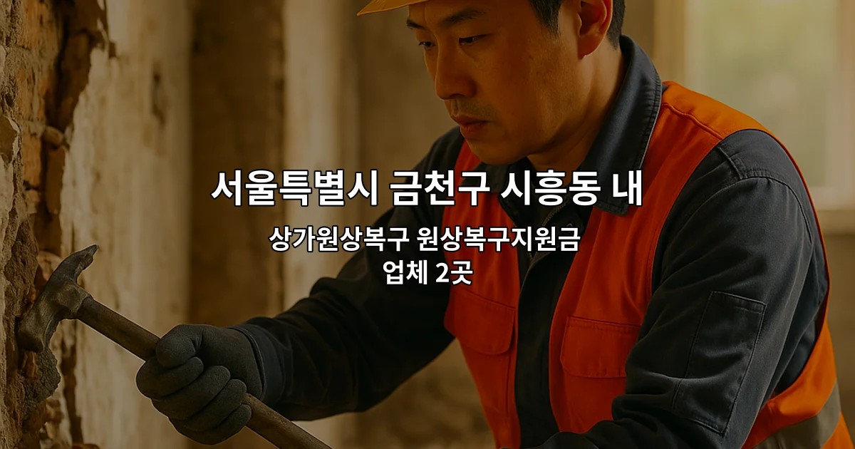 서울특별시 금천구 시흥동 내부철거 상가원상복구 원상복구지원금 업체 2곳